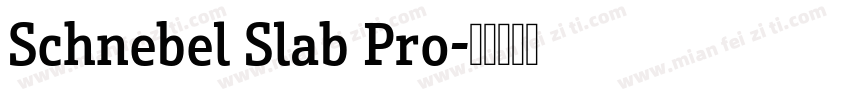 Schnebel Slab Pro字体转换